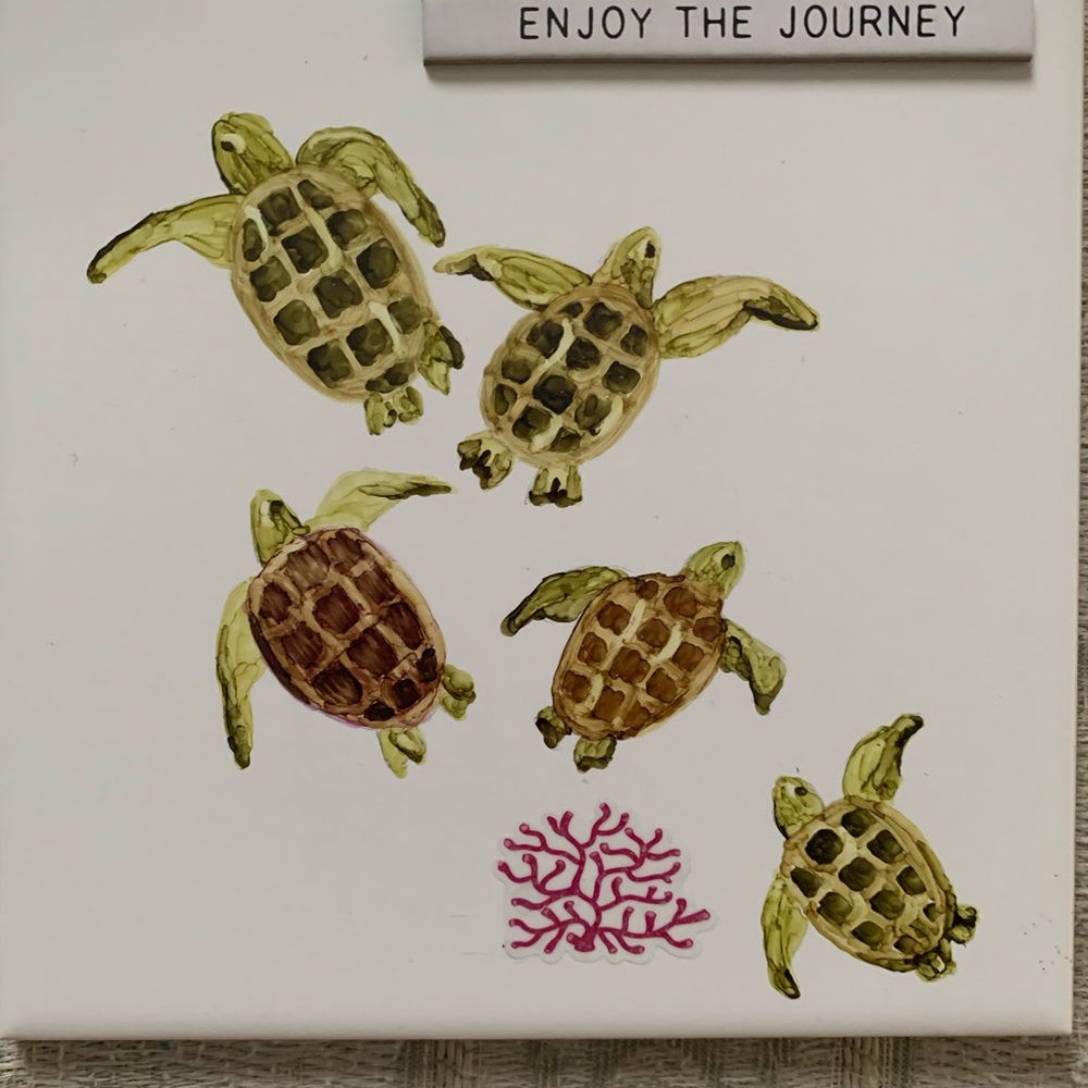 Hand drawn sea turtles